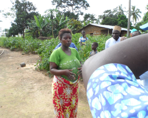 Visit by Cordaid Netherlands team report