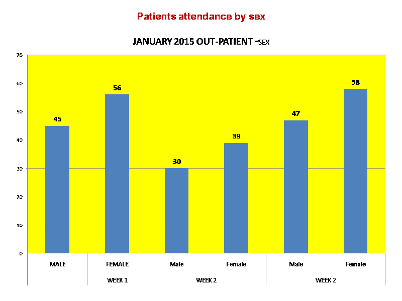 Patients attendance by sex