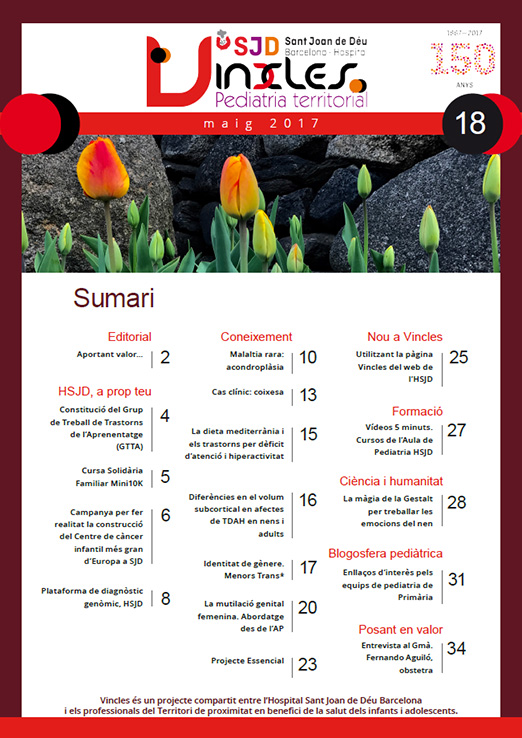 Revista electrònica Vincles