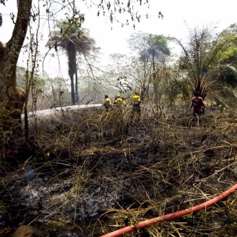 St. John of God Catholic Nursing School-Lunsar