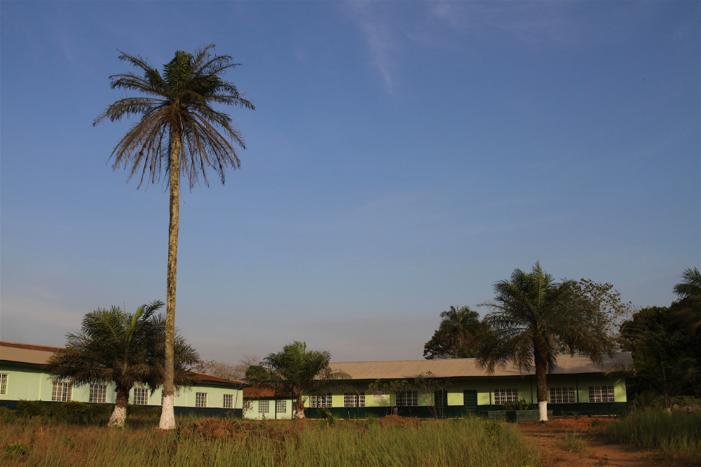 Escuela de enfermería