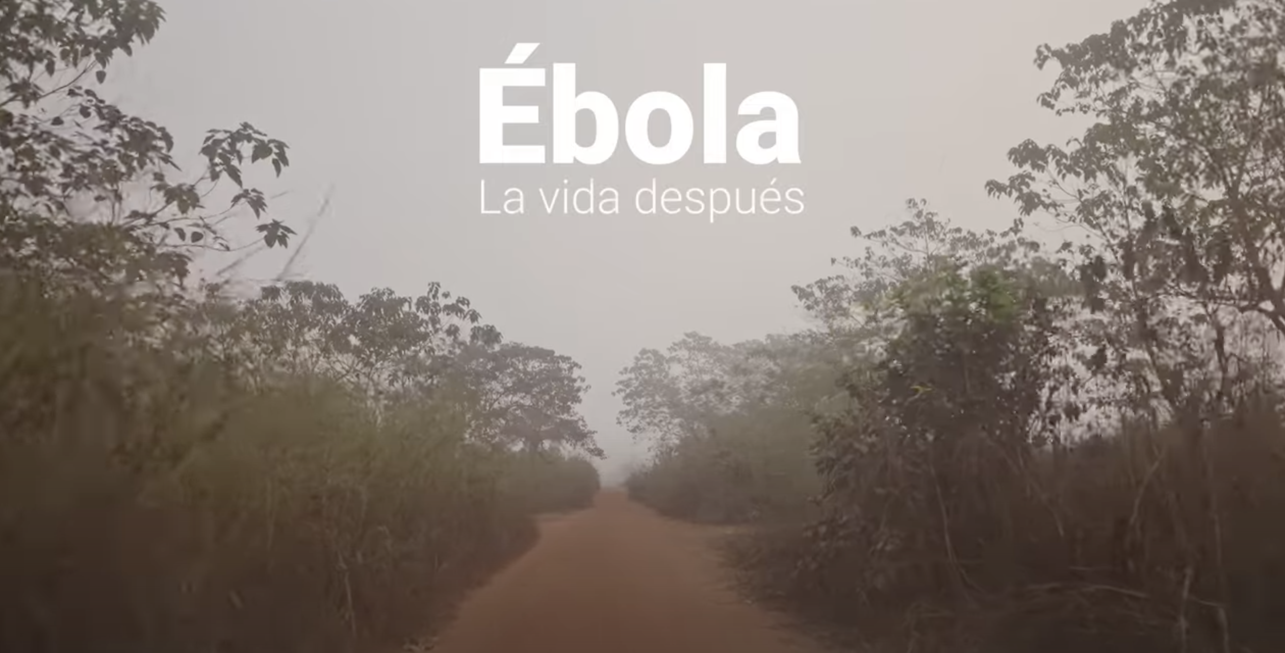 Ébola, la vida después...
