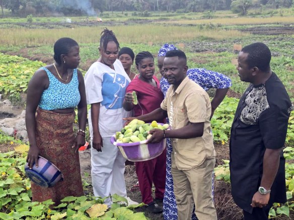This is the community garden